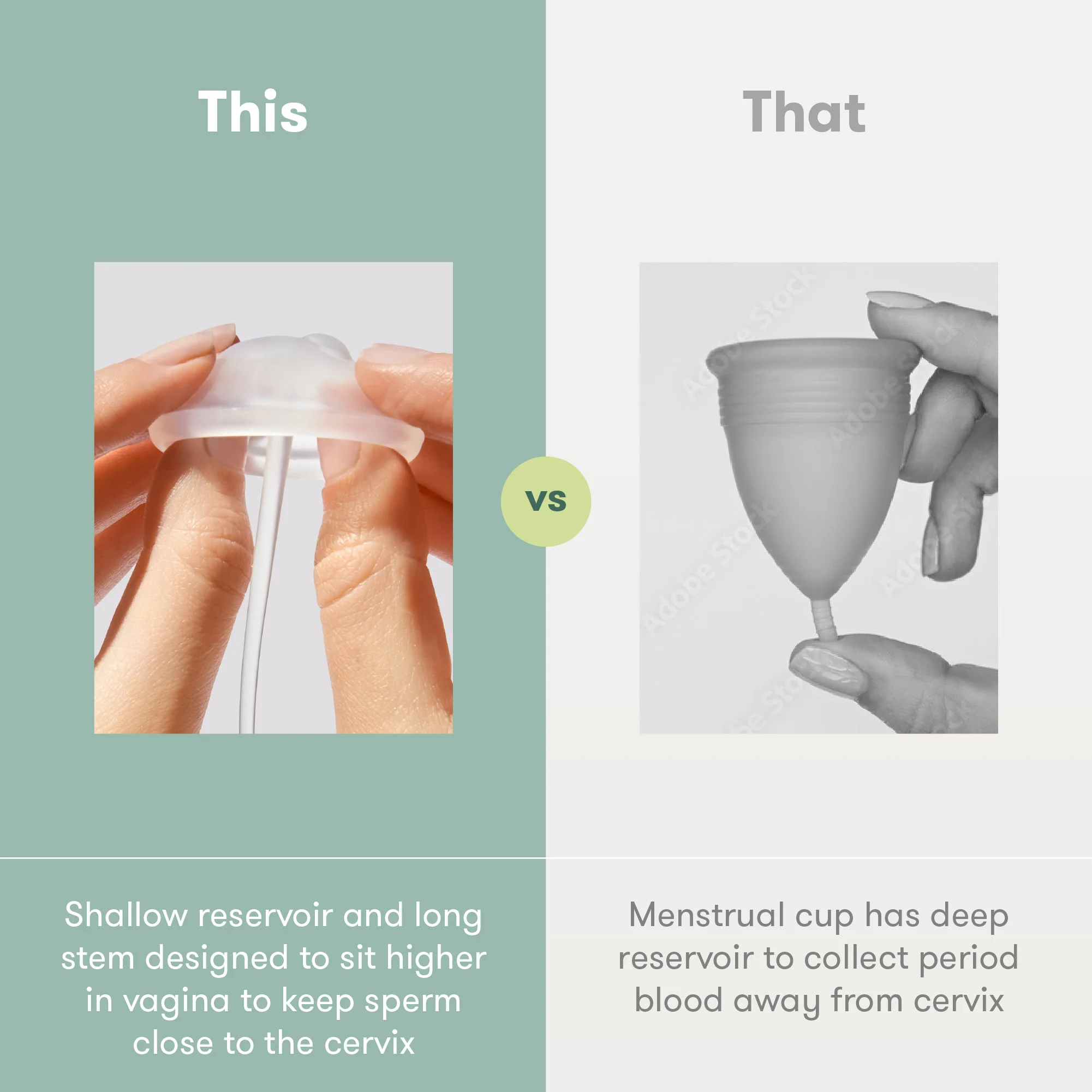 Conception Aid Cup - Image 4