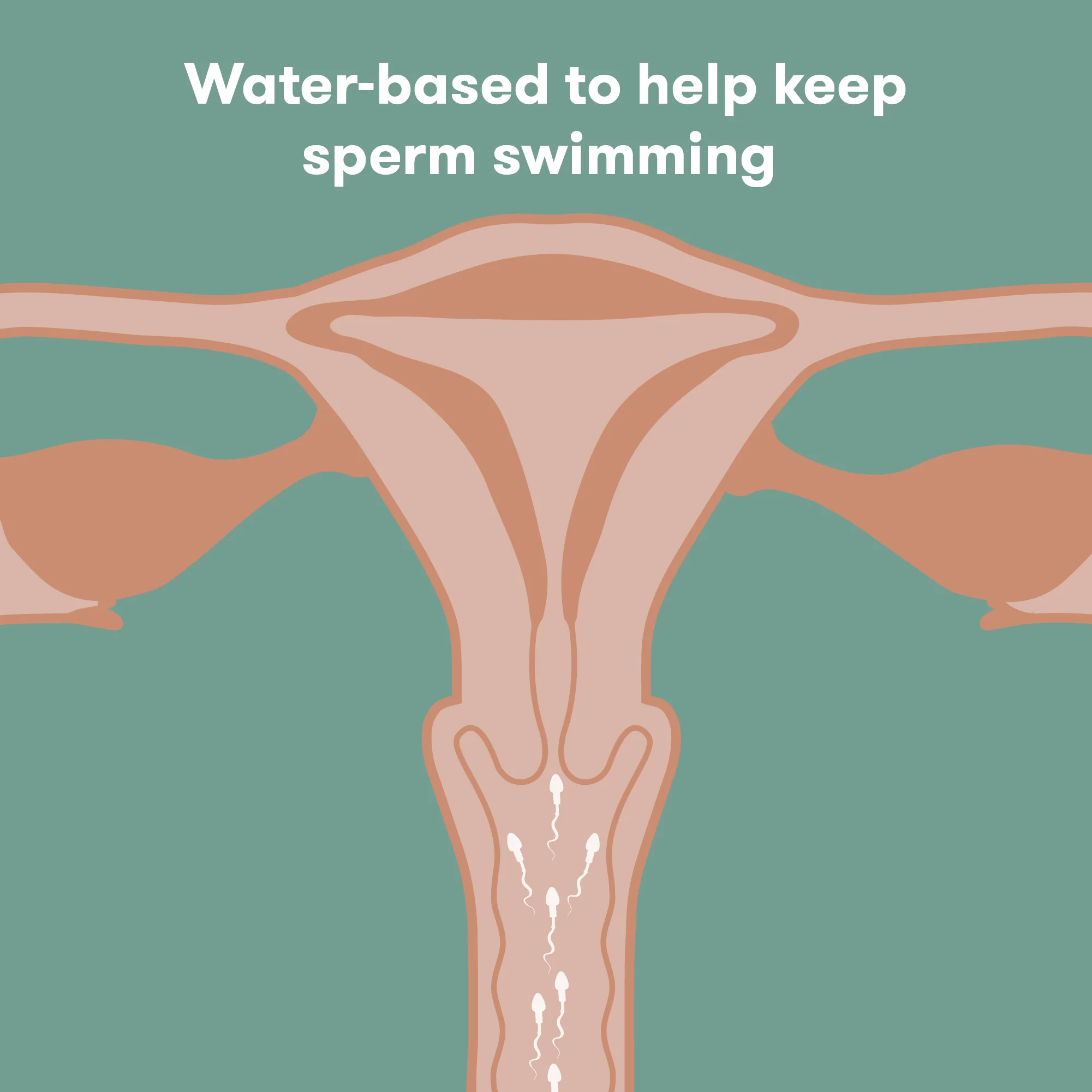 Conception Friendly Lubricant - Image 3