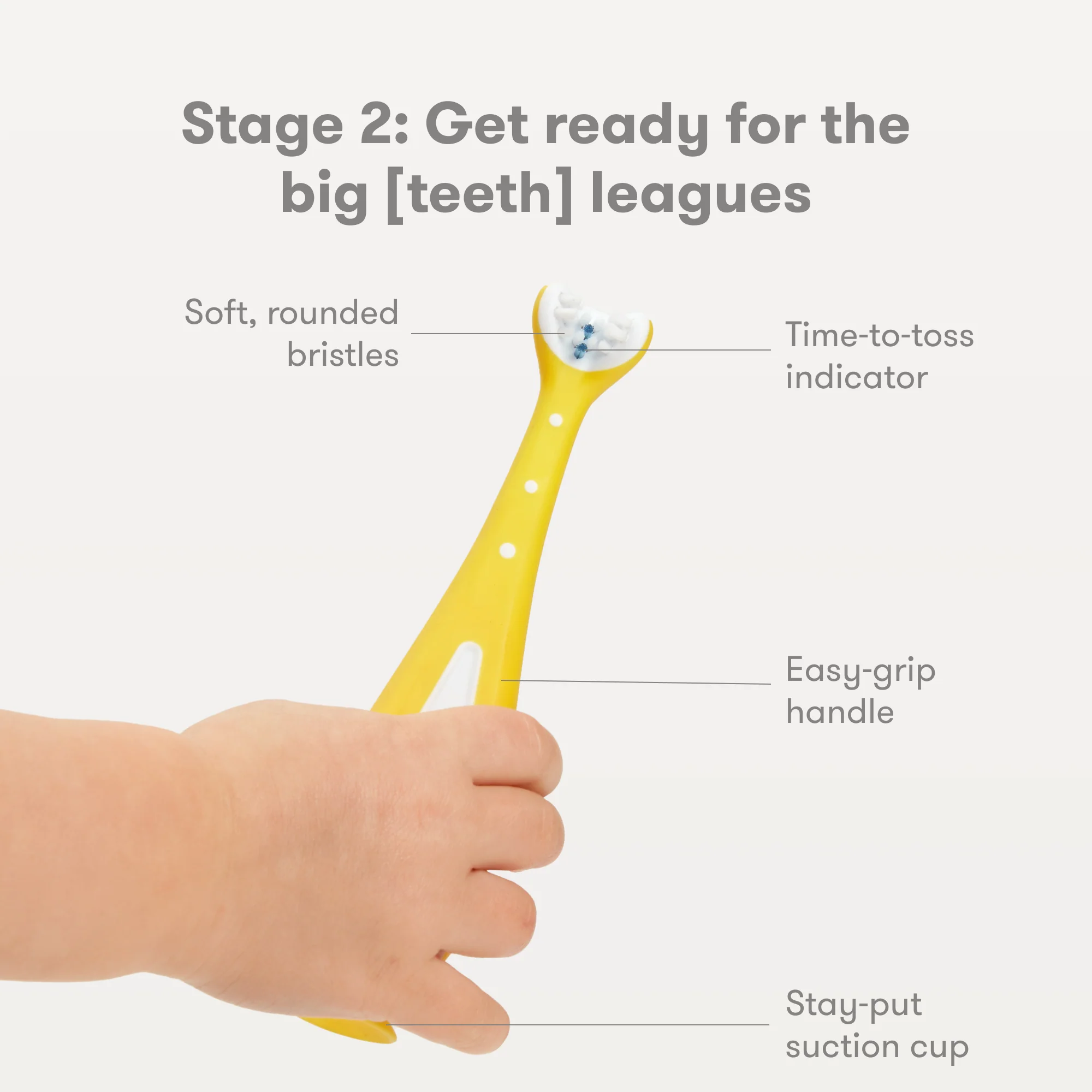 Grow-With-Me Training Toothbrush Set - Image 5