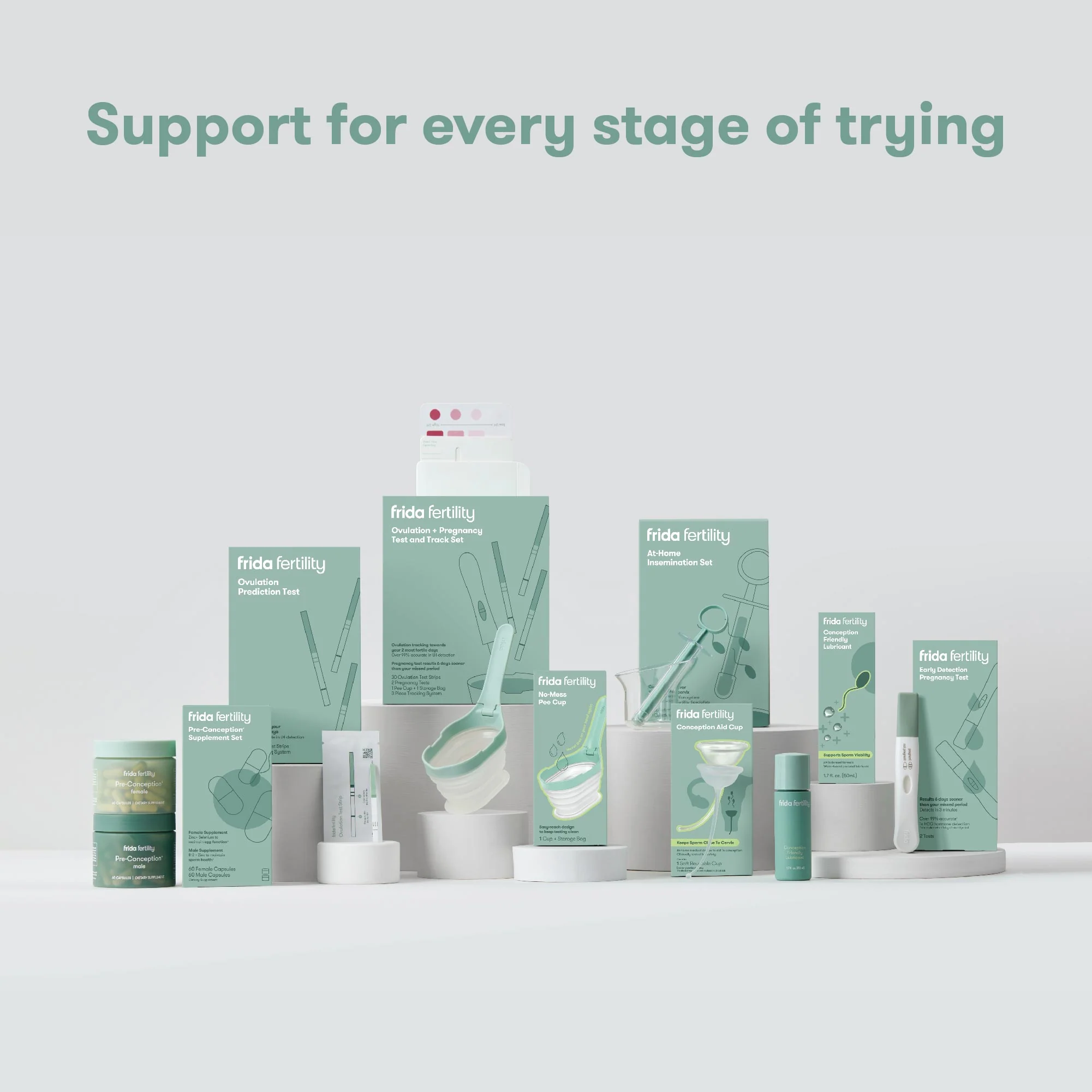 Pregnancy Test Strips (25 count) - Image 2