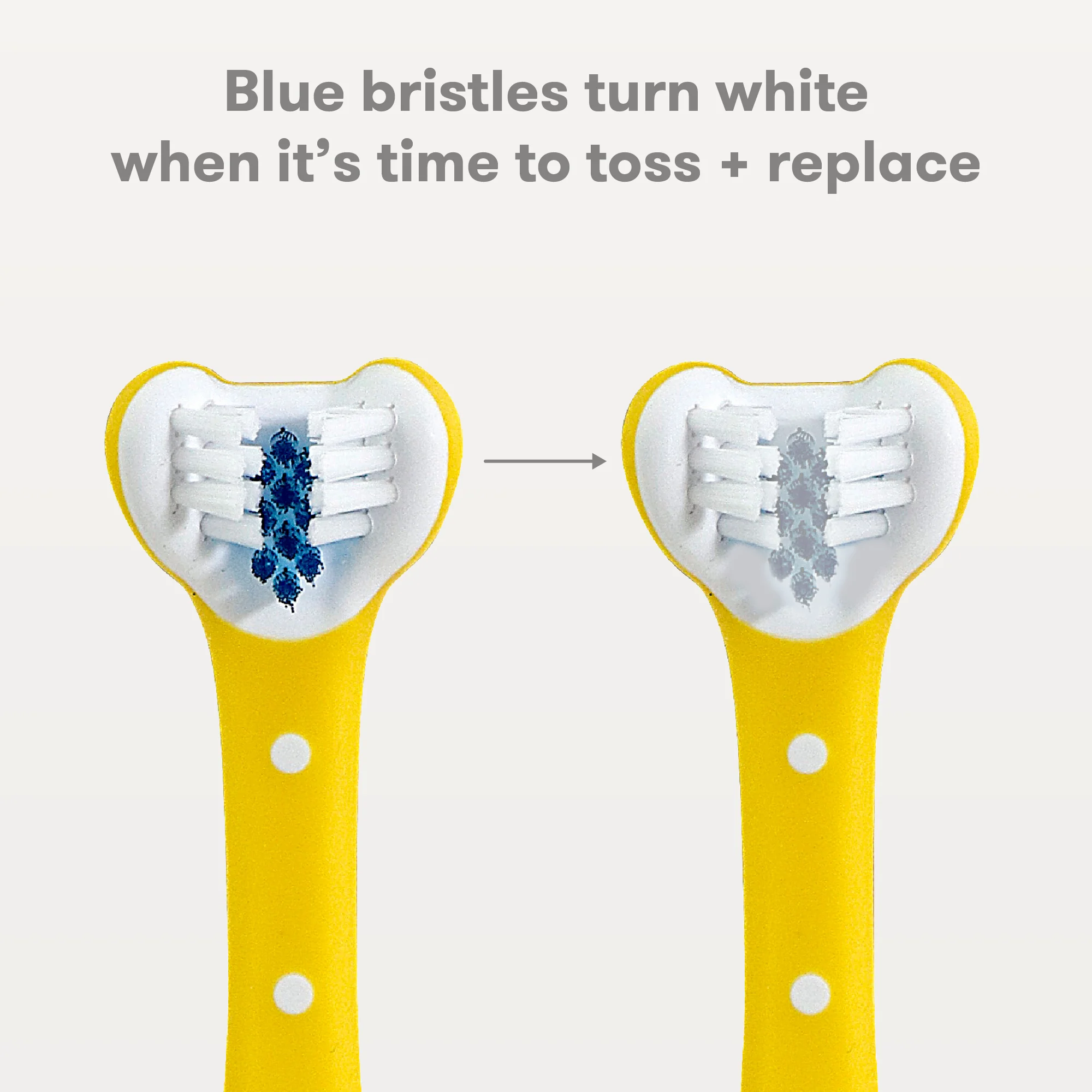 Triple-Angle Toothhugger - Image 5